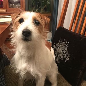 Meet your Posher, Brian